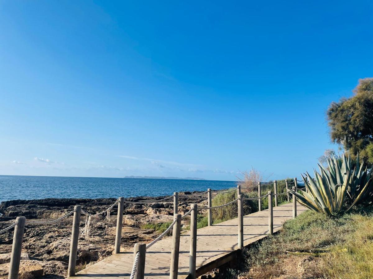 Blue House Mallorca 塞萨利内斯 外观 照片
